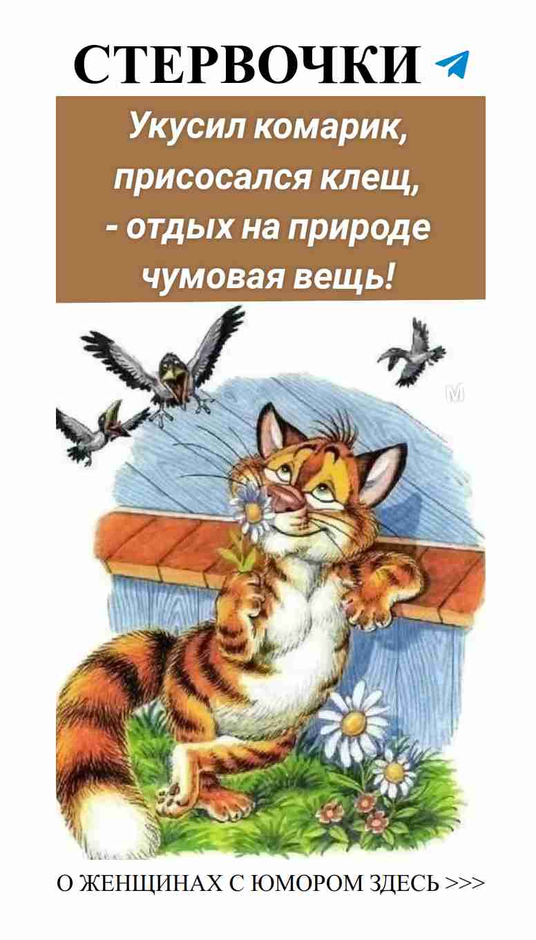 Когда любовь смешивает нас с юмором и счастьем