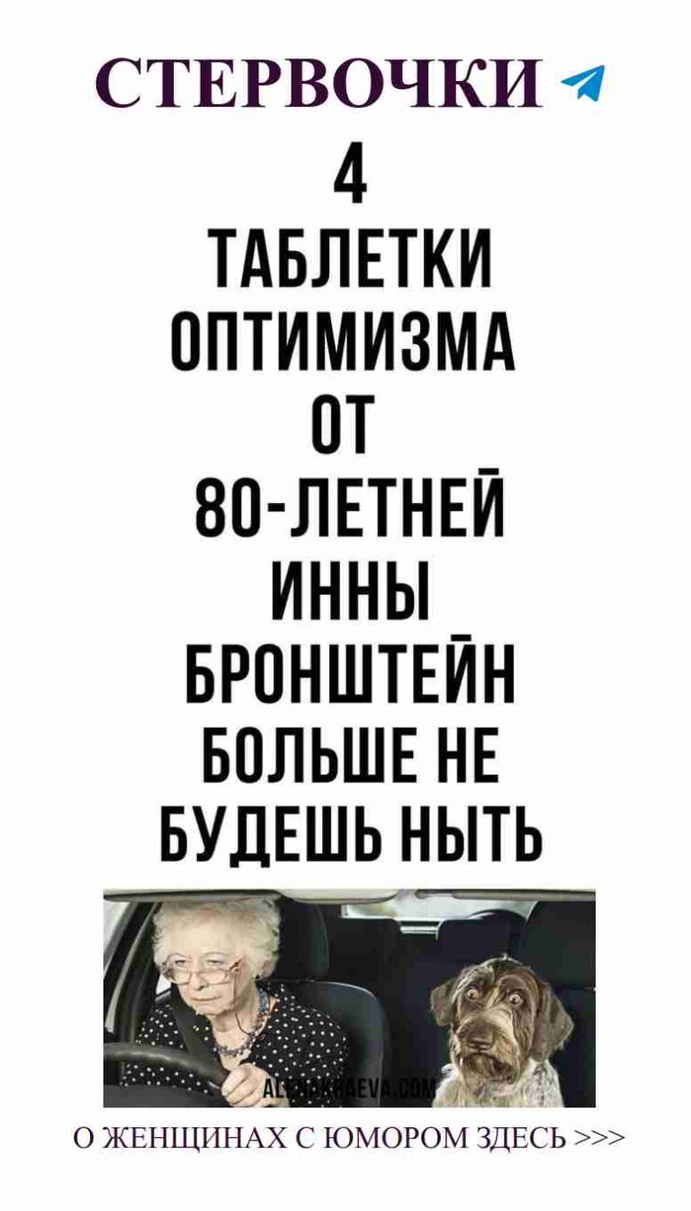 Собака в машине: верная подруга в любовных похождениях