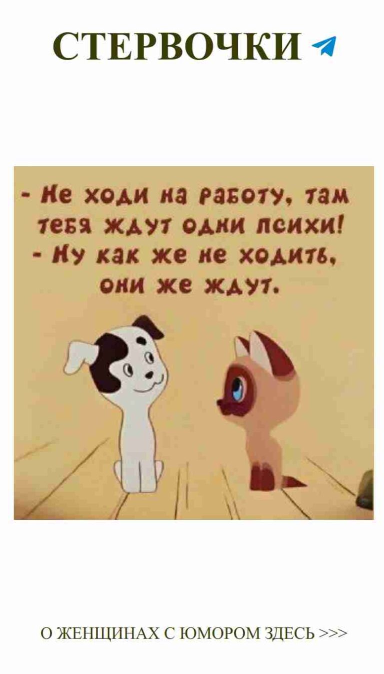 Два милых пса, утра полные юмора и любви