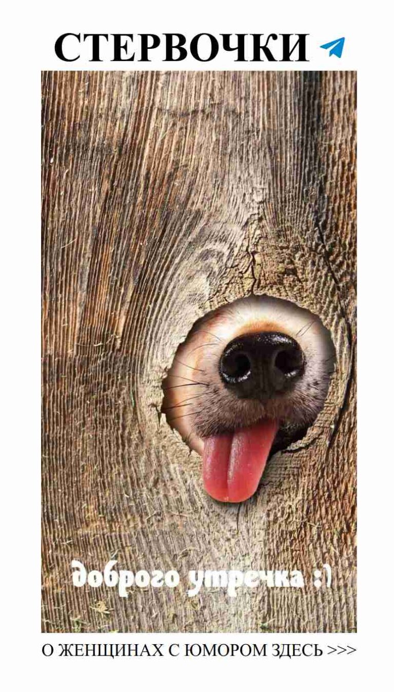 Собака на ухе, когда любовь за забором не видна