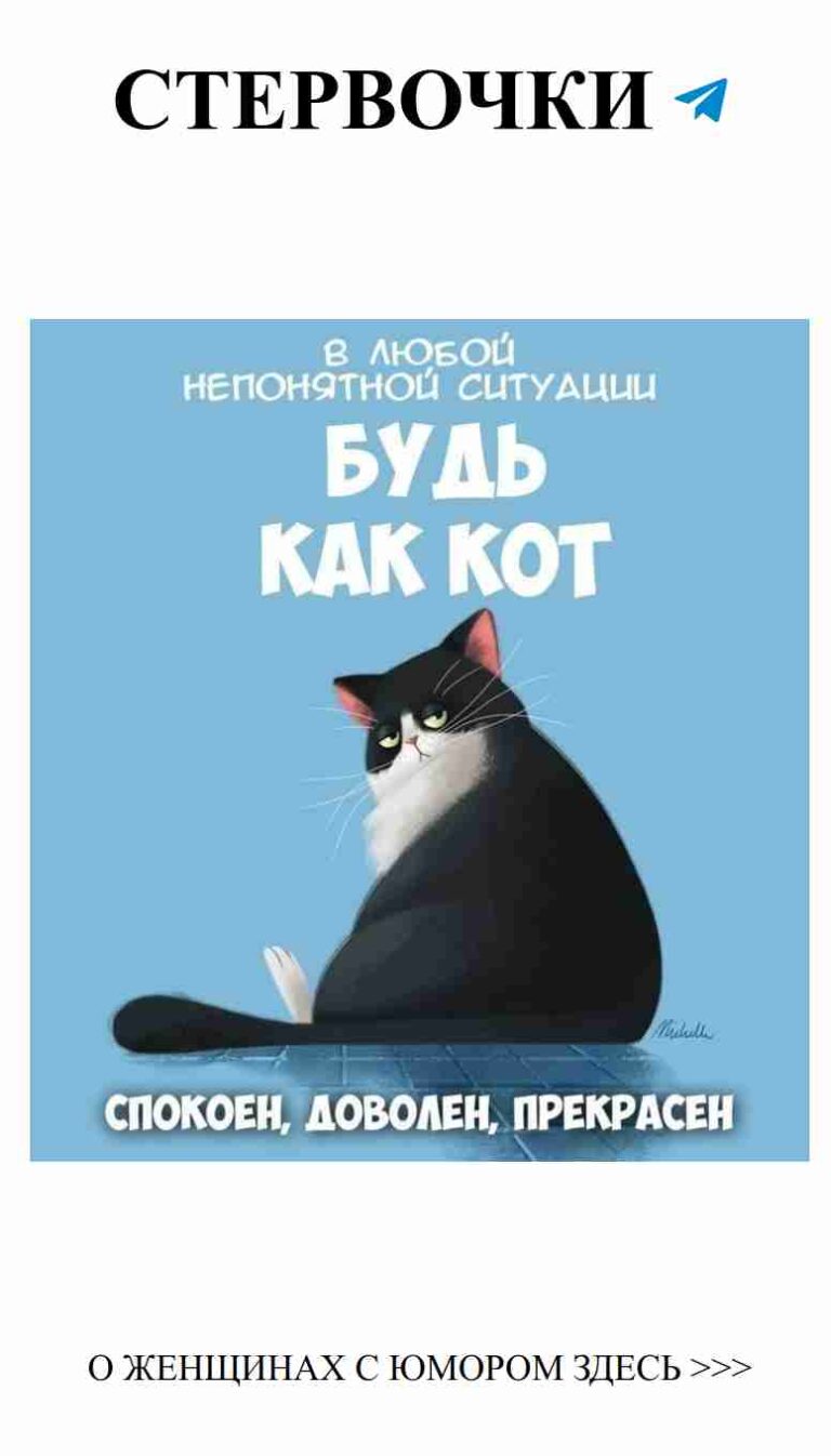 Котик, который знает секреты любви и женского юмора