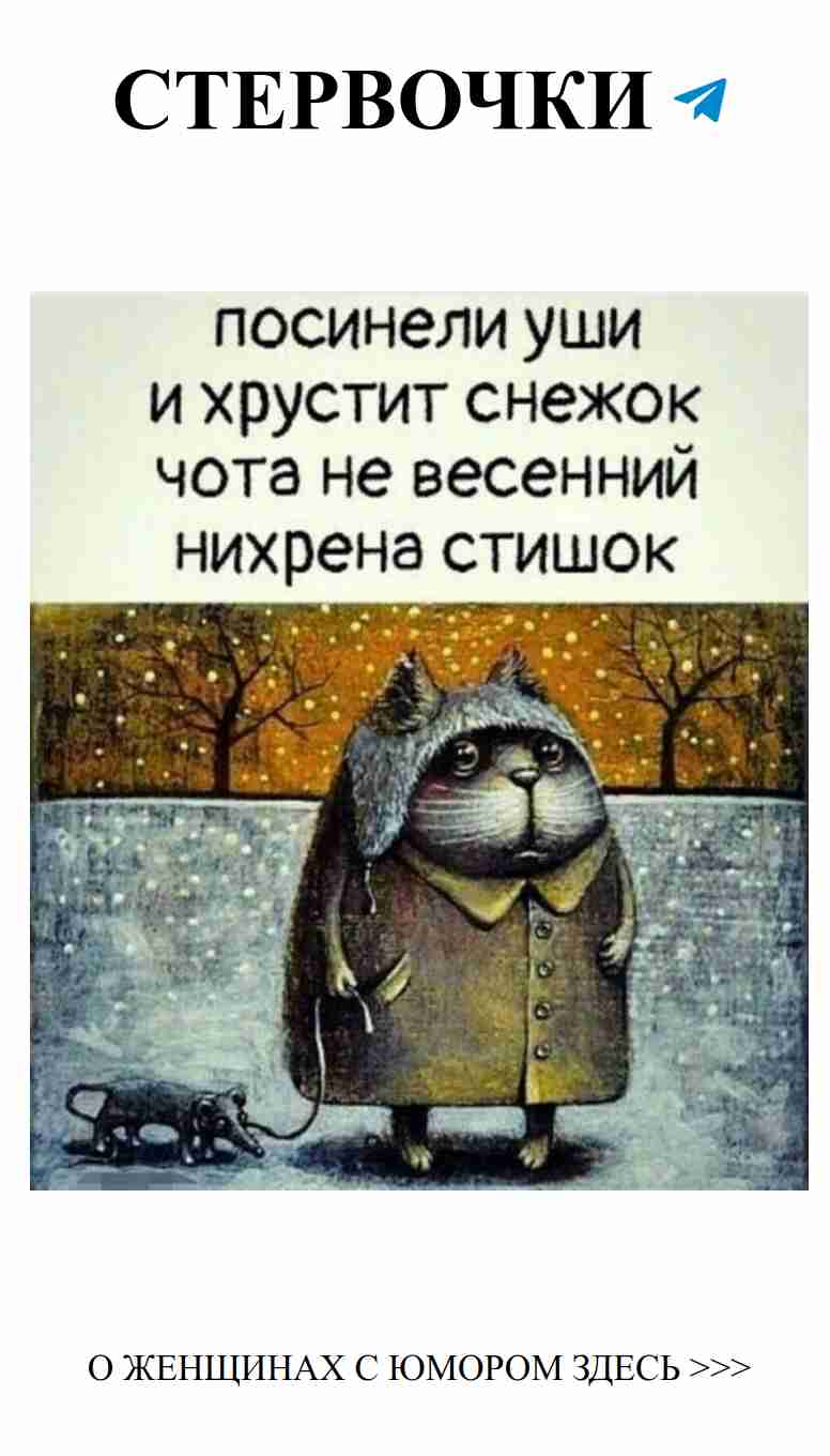 Когда коты берут на себя роль джентльменов зимой