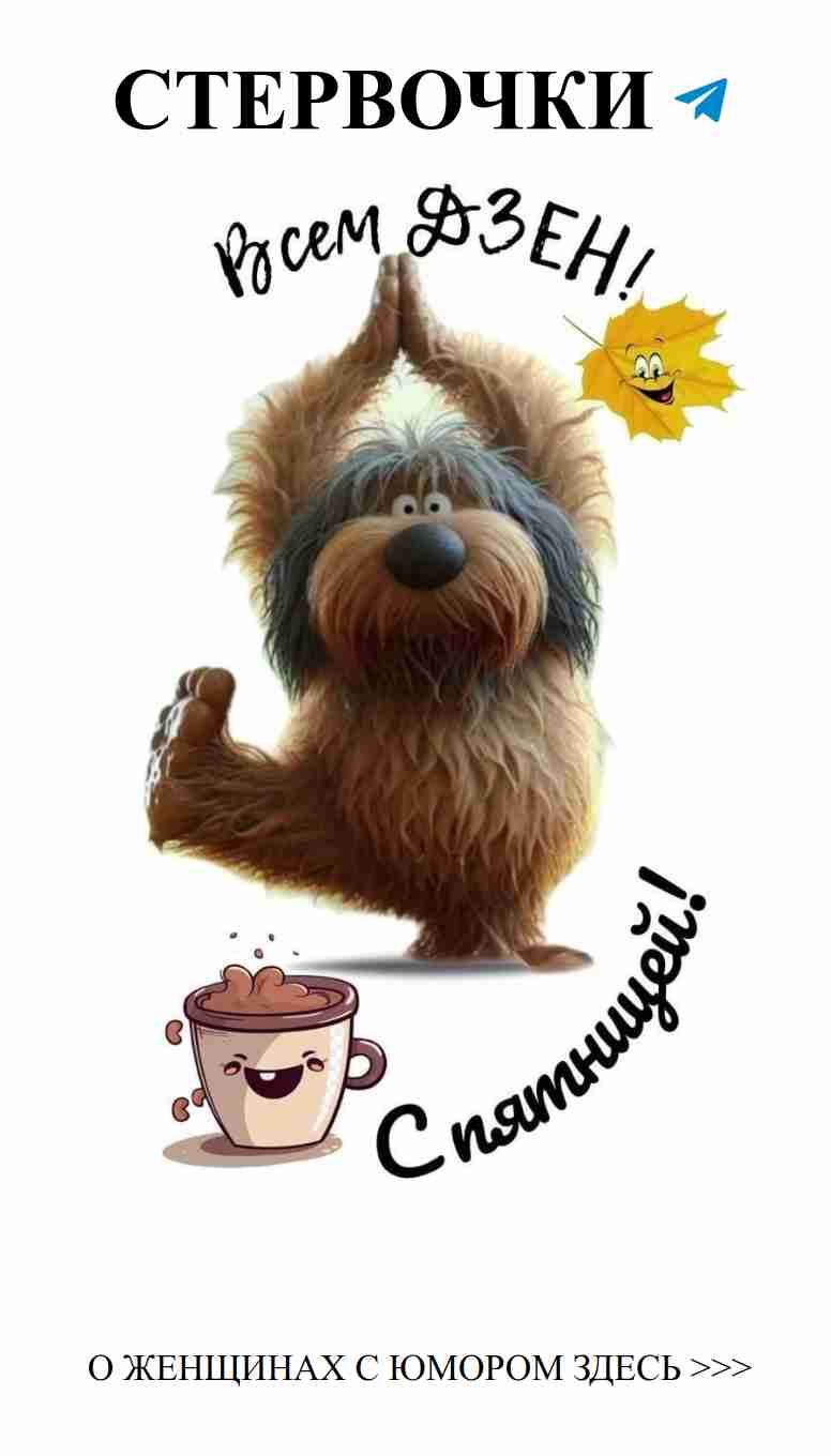 Собака в йоге и кофе: как утро может быть веселым