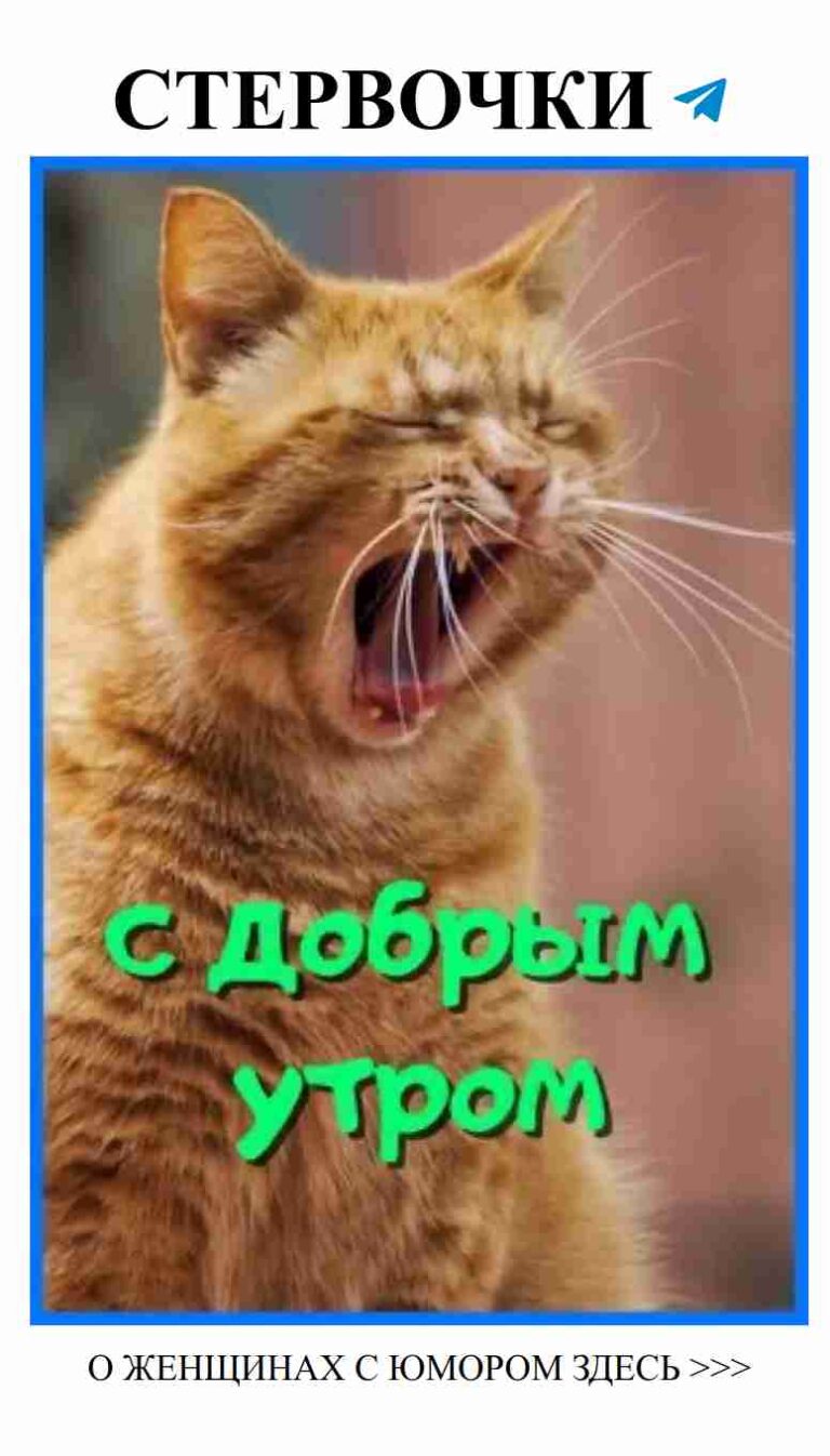 Юмор о любви: как не потерять себя в отношениях