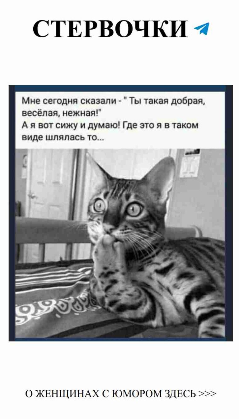 Смешные цитаты о любви и жизни для женщин