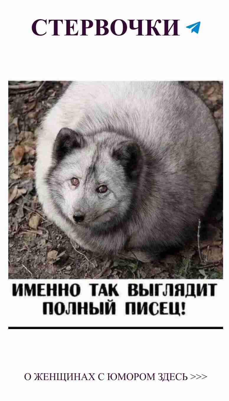 Когда любимый хмурится, я просто убаюкиваю его своим хомяком