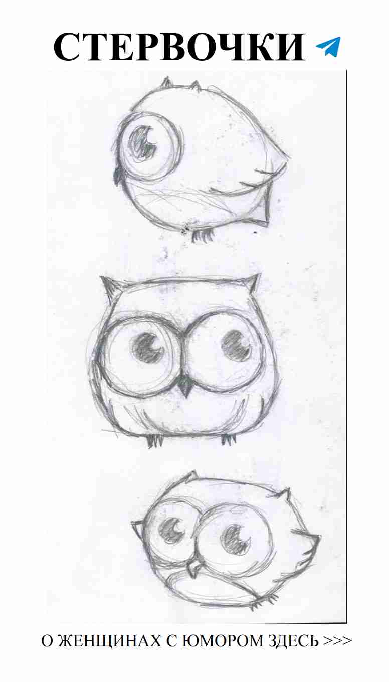 Три совы, три чувства: любовь, смех и творчество