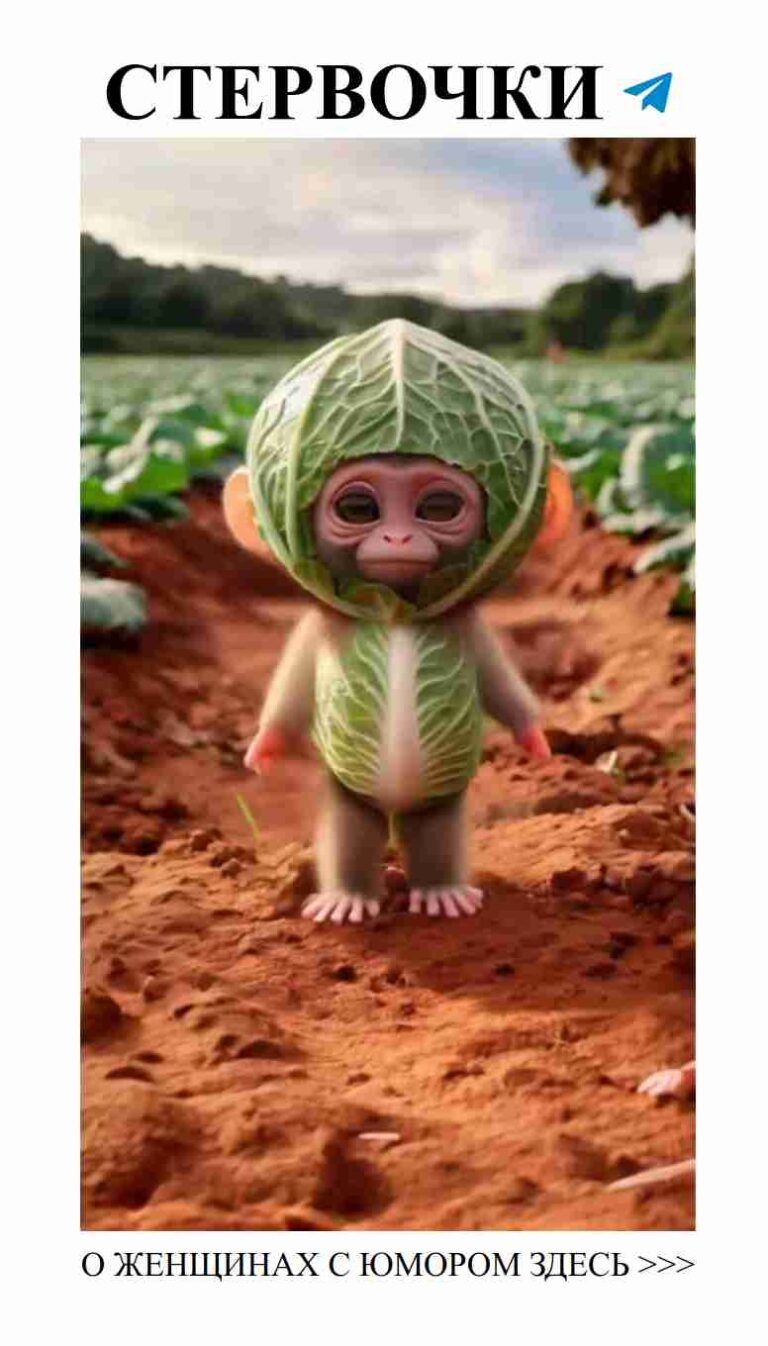 Смешные истории о любви, способные покорить женские сердца