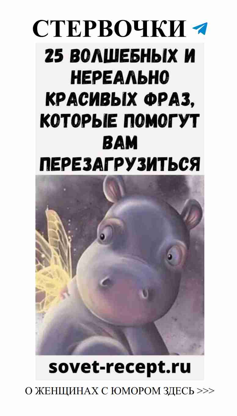 Когда гиппопотам влюблен, даже пчелы становятся милыми