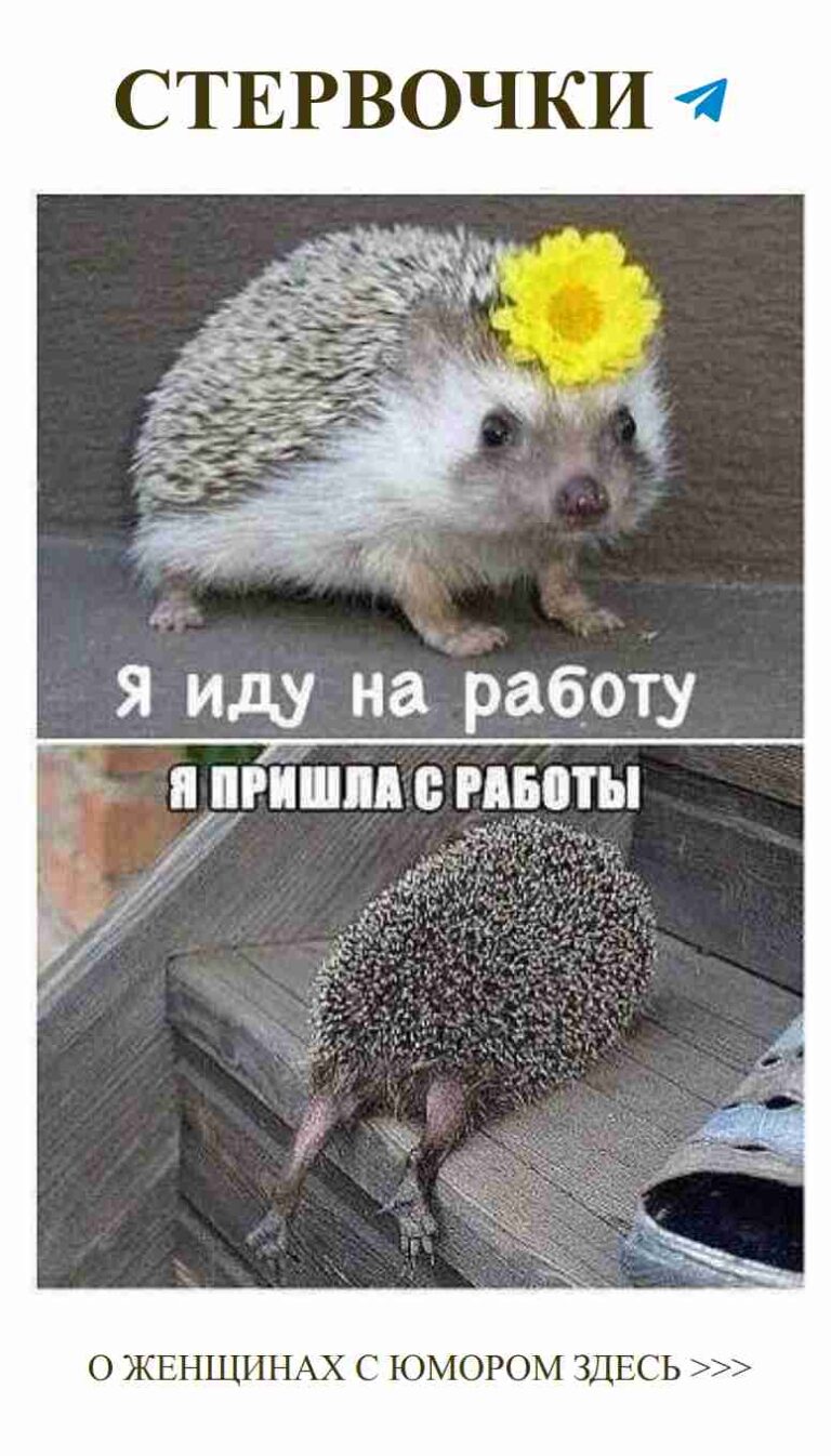 Жизнь с любимым: когда смех важнее слов о любви