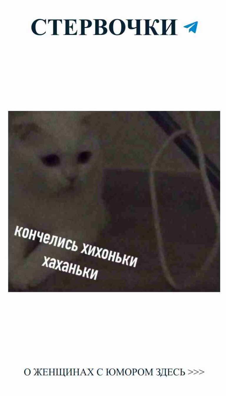 Кошачьи забавы: как не любить милых пушистиков