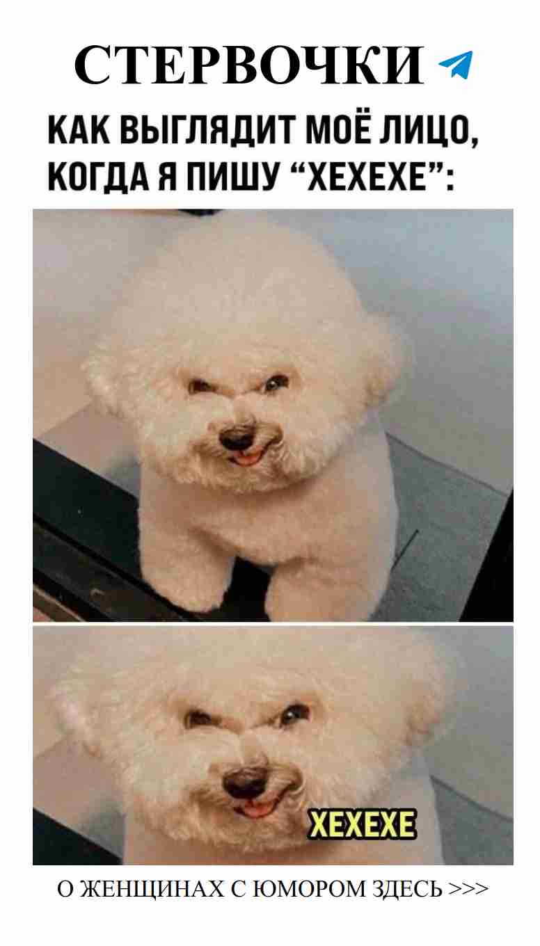 Смех и любовь: как найти своего идеального партнёра