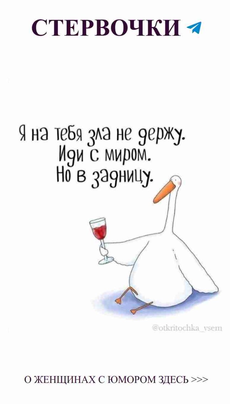 Сторк и вино: лучший напиток для самоиронии