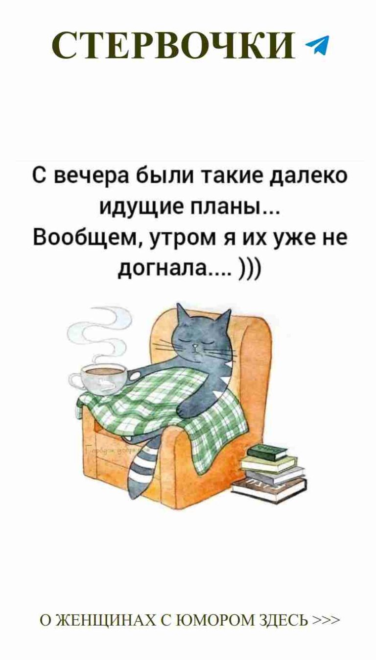 Утренний кофе и кот: идеальный день с улыбкой