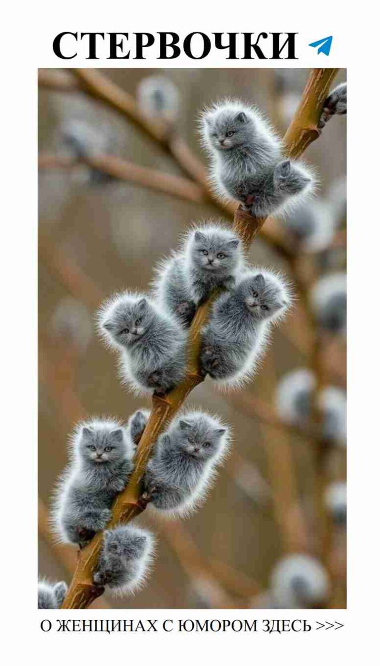 Кошачьи шалости: милота и смешные моменты с котятами