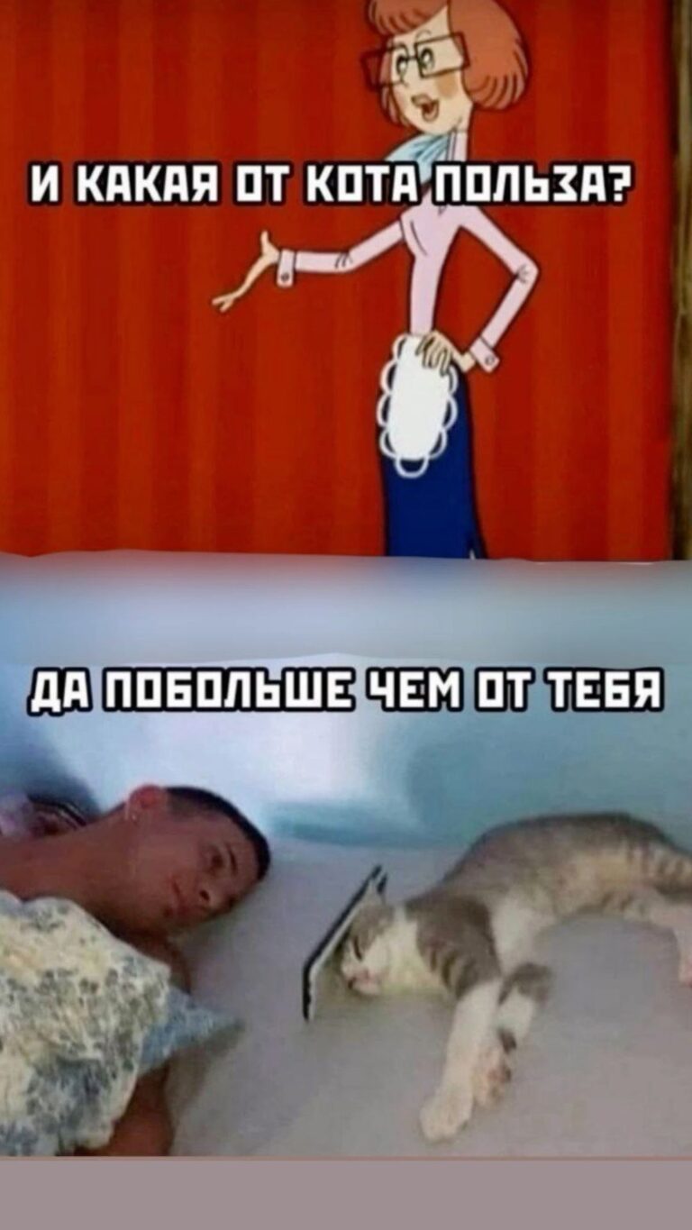 котики такие полезные😹