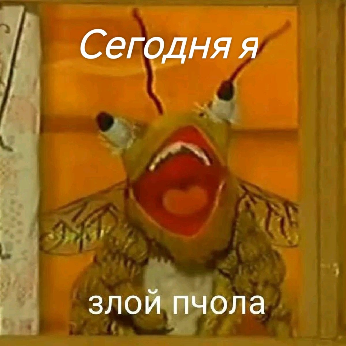 Сегодня я