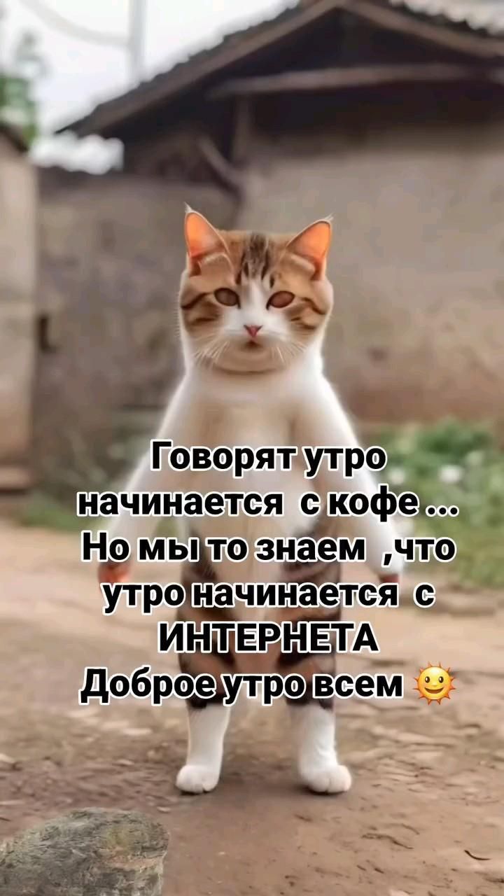 Доброе утро всем 😘