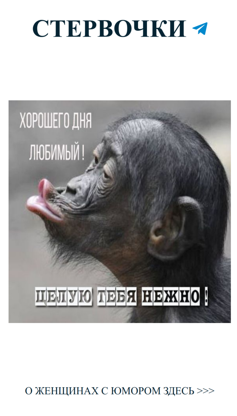 Улыбнись любви: серьезные татуировки с юмором