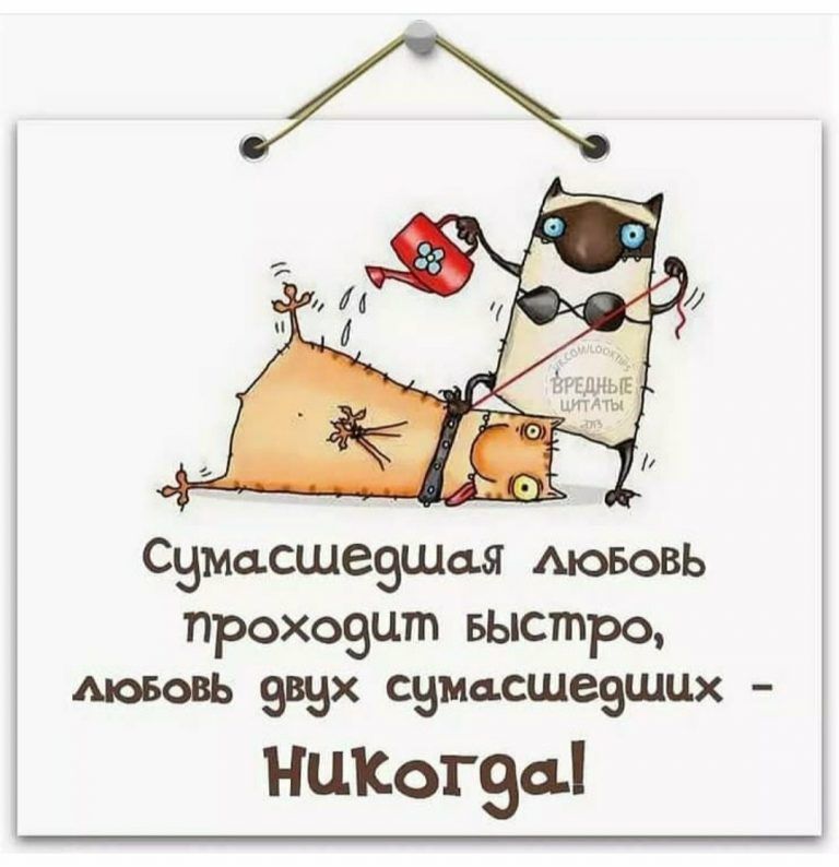 Смешные высказывания про жизнь в картинках (100 картинок) 🌟