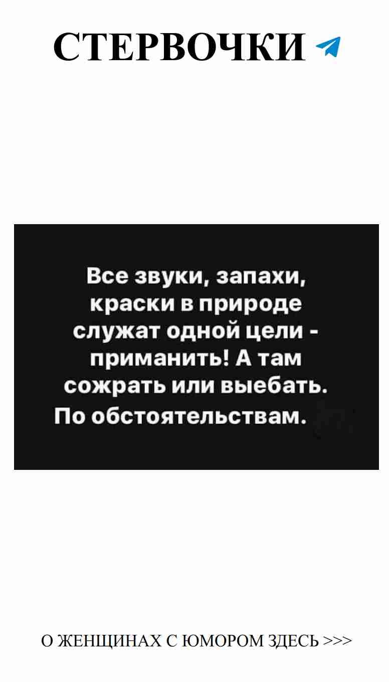 Любовные приколы: смеемся над сердечными делами