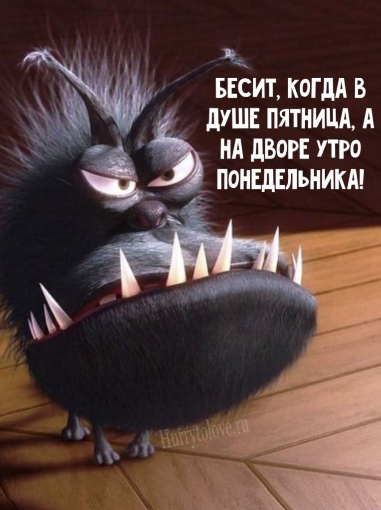 Картинки про утро понедельника: прикольные и красивые открытки с надписями на понедельник
