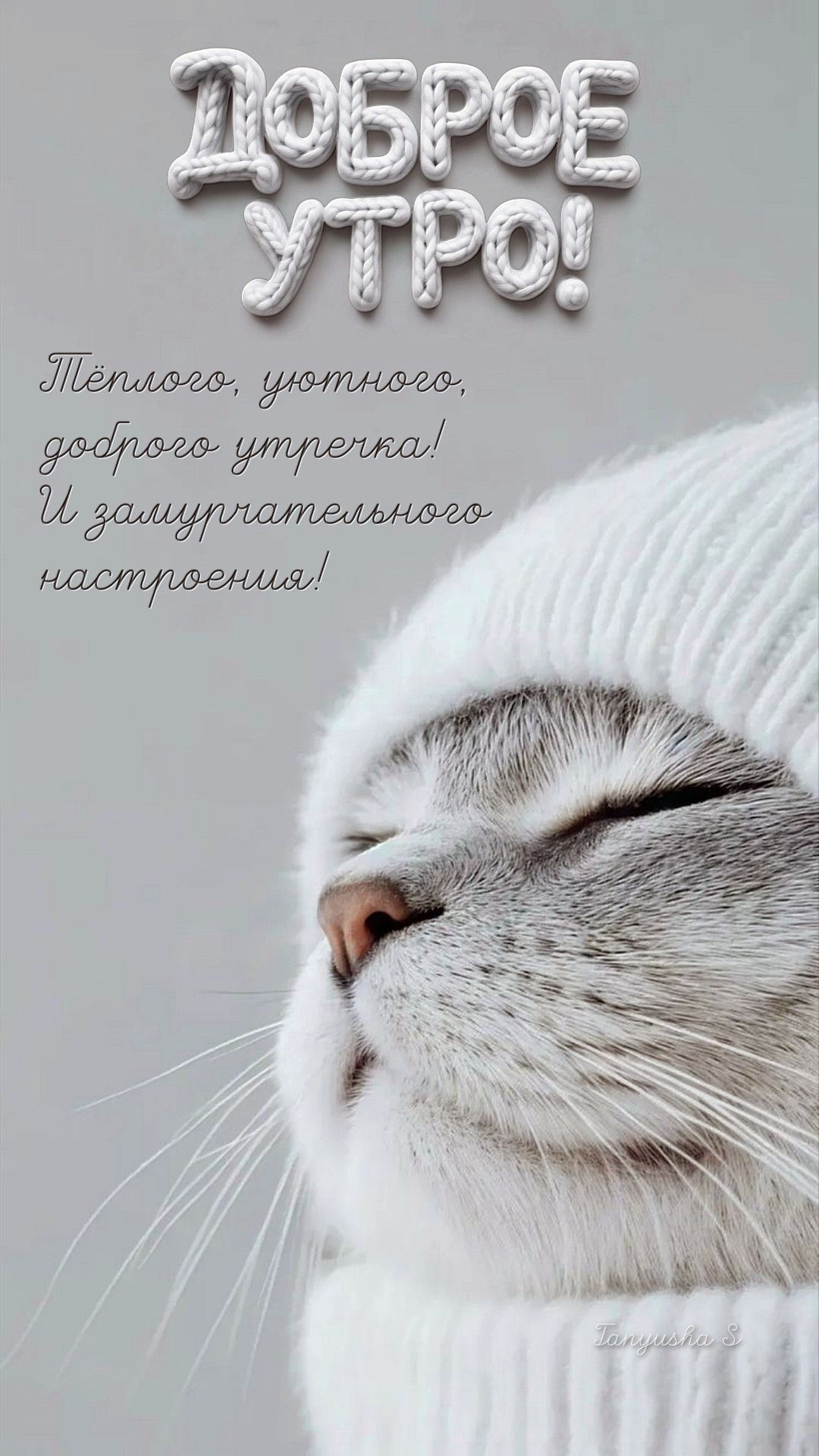 ДОБРОЕ УТРО!🐈‍⬛