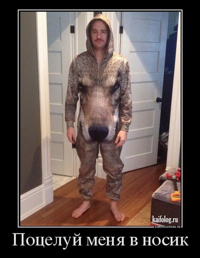 Прикольные демотиваторы – 253 (45 демотиваторов)