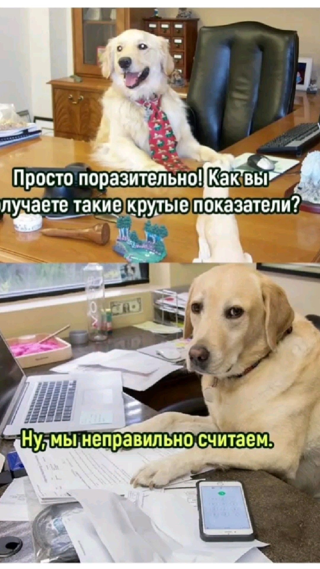 хочется директору это скинуть, но как будто ему будет не очень смешно