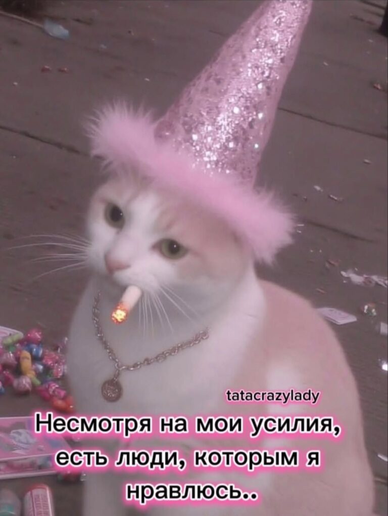 Несмотря на мои усилия