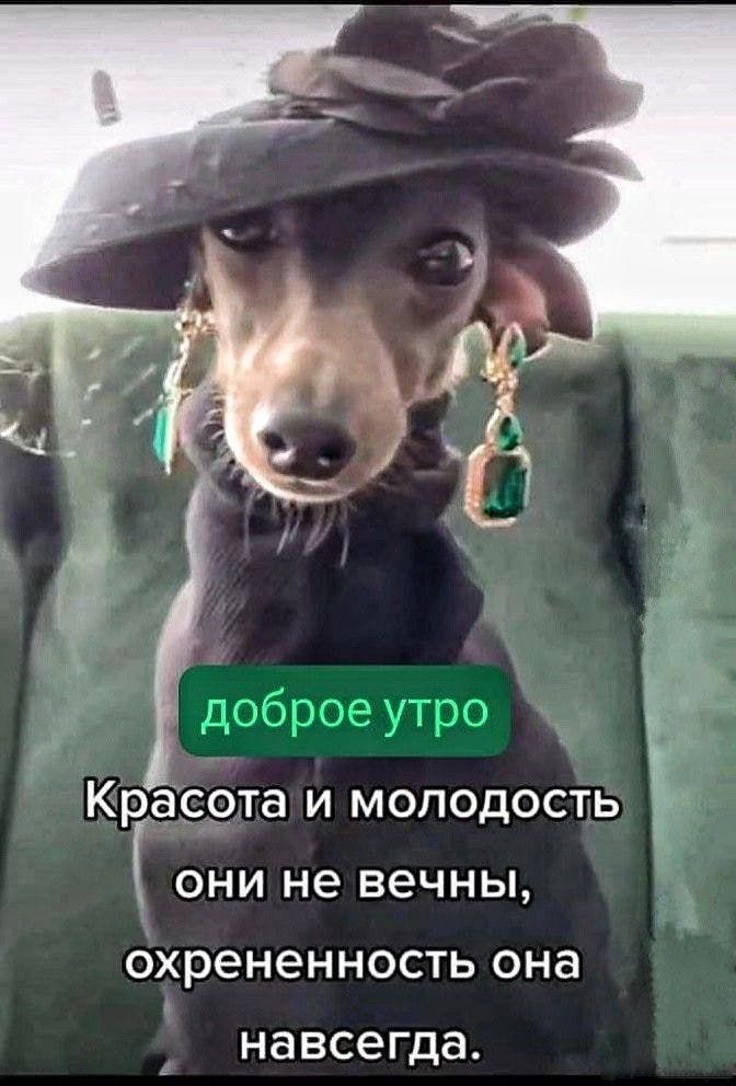 Доброе утречко