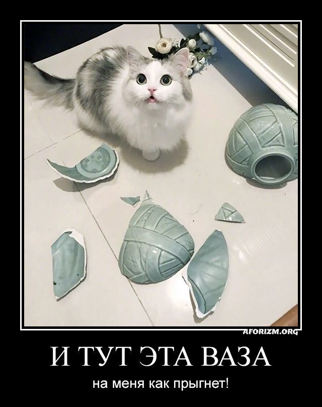 И тут эта ваза на меня как прыгнет!
