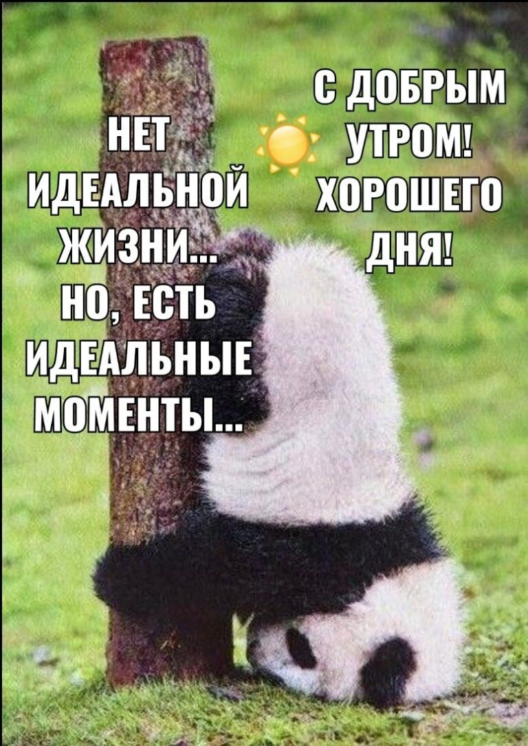 С добрым утром 💞