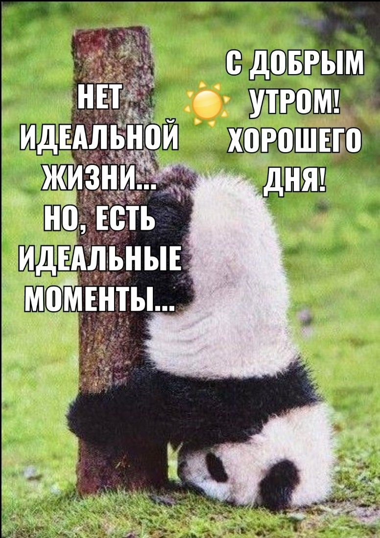 С добрым утром 💞
