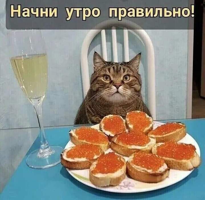 Открытки, поздравления!? Пожалуйста поддержите мой канал, подпишитесь, поставьте лайк