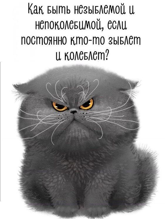 Получи сигнал.бота😁 Смешные картинки, открыт🙂тут