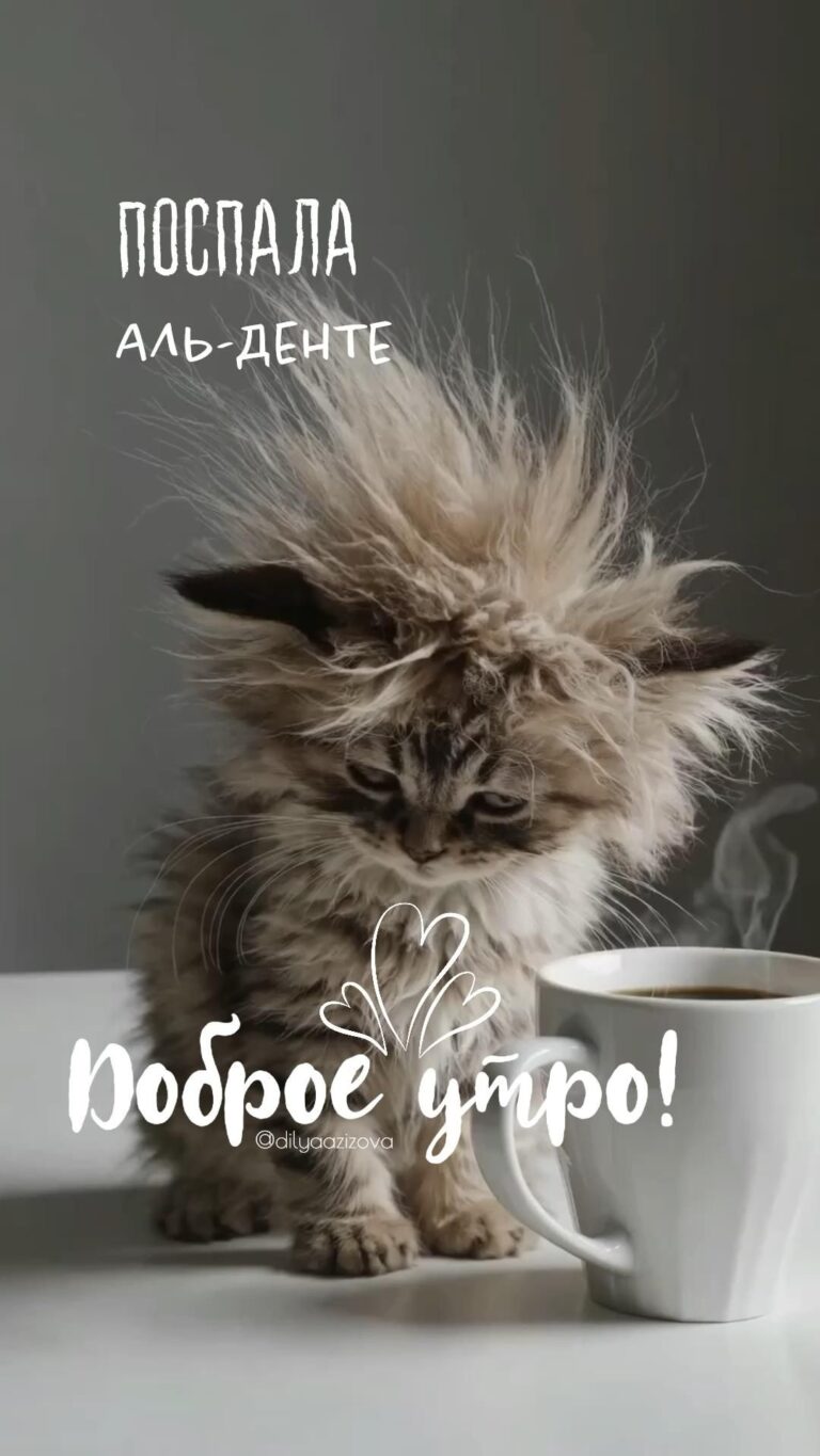 Доброе утро невыспавшиеся люди!