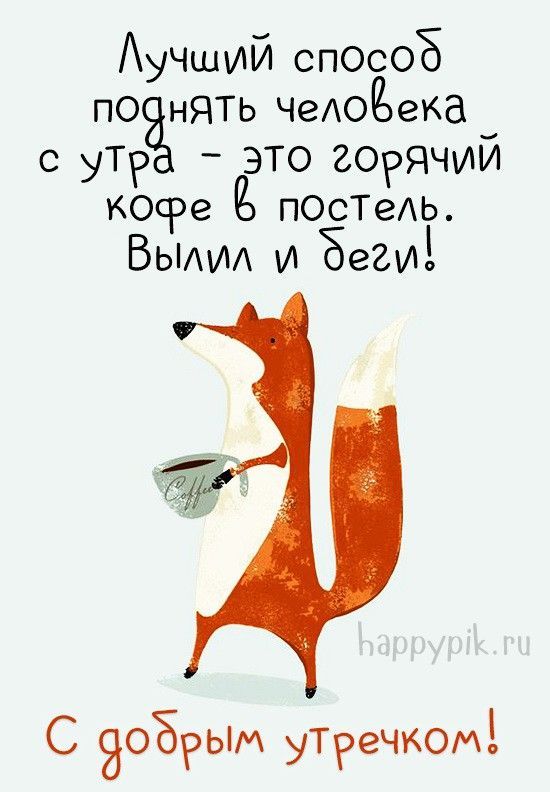 Прикольные картинки Доброе утро 👍 😄 – скачать