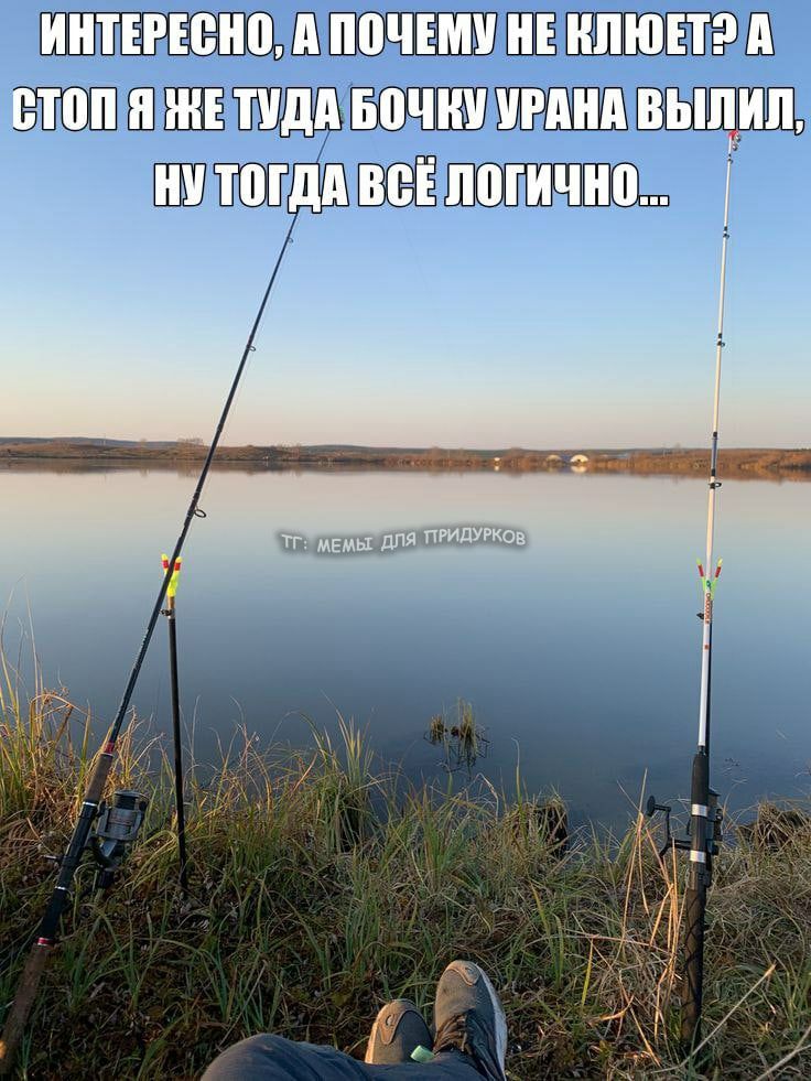 тг: мемы для придурков