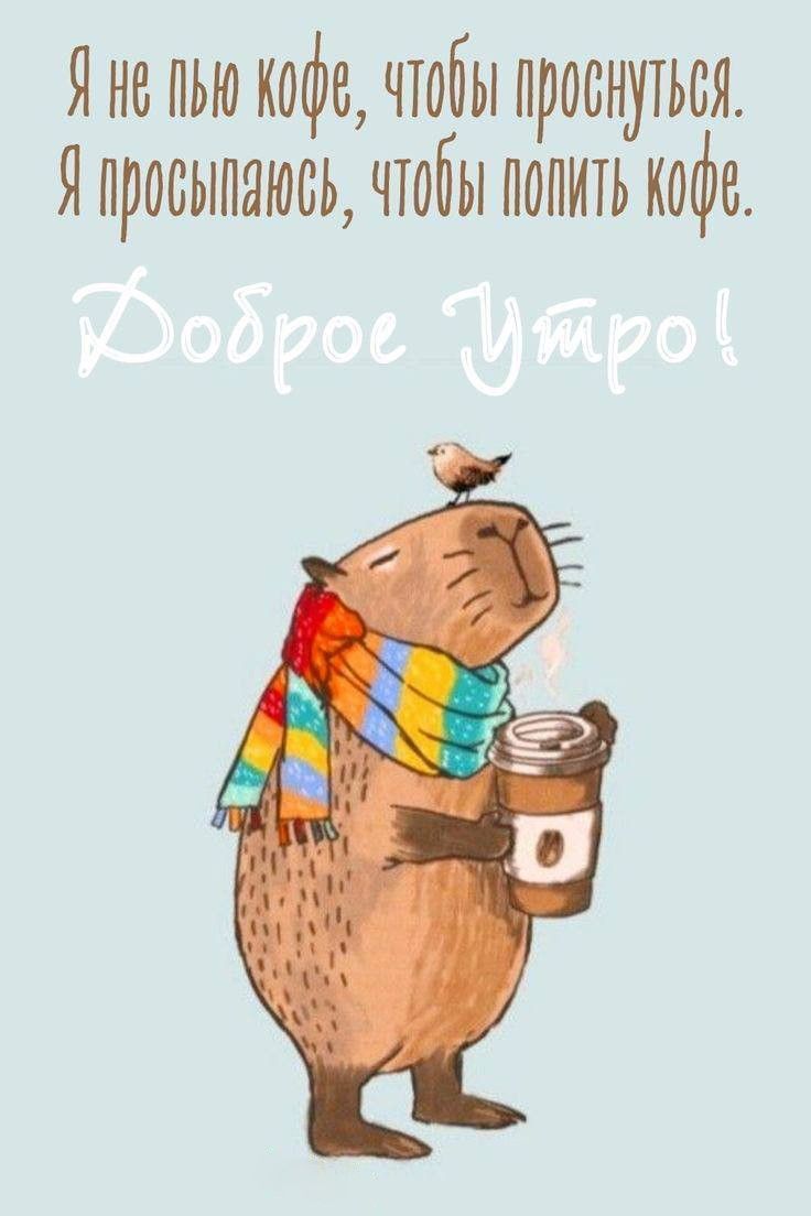 Доброе утро (открытка 2184): Бесплатные картинки • Открытки Топ