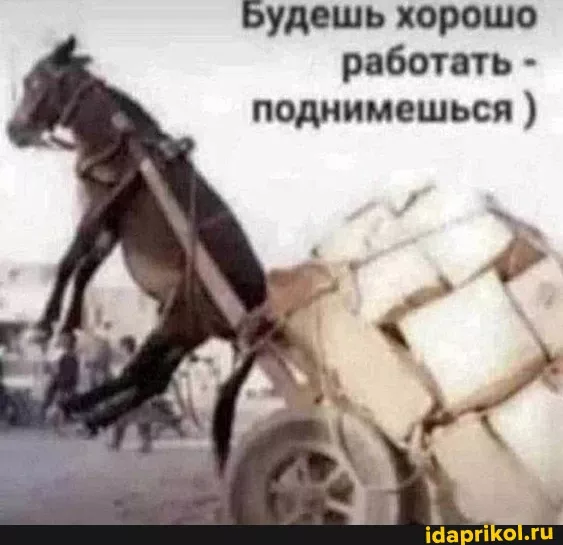 Будешь хорошо работать – поднимешься ) – АйДаПрикол