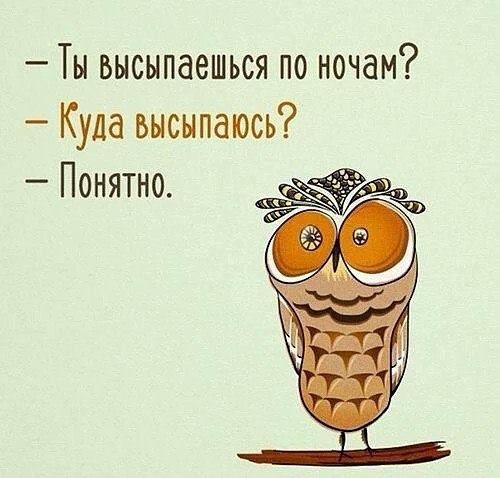 Ты высыпаешься по ночам? юмор