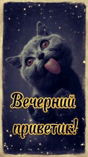Вечерний приветик