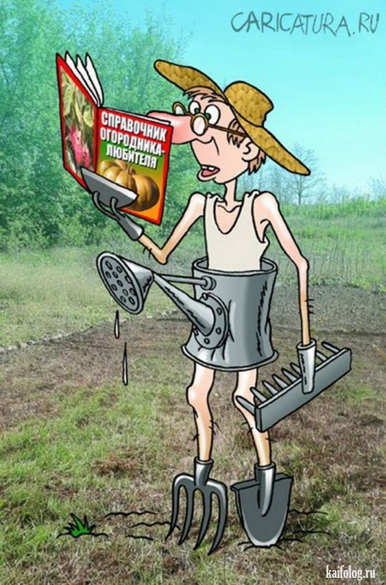 картинки смешные819