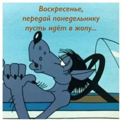 Воскресная улыбка.