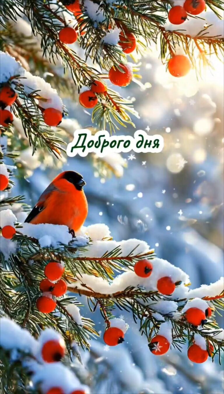 Доброго дня.