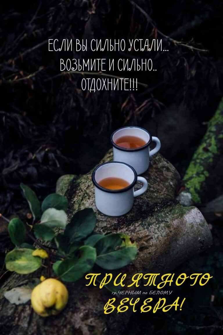 Марина Шевчук