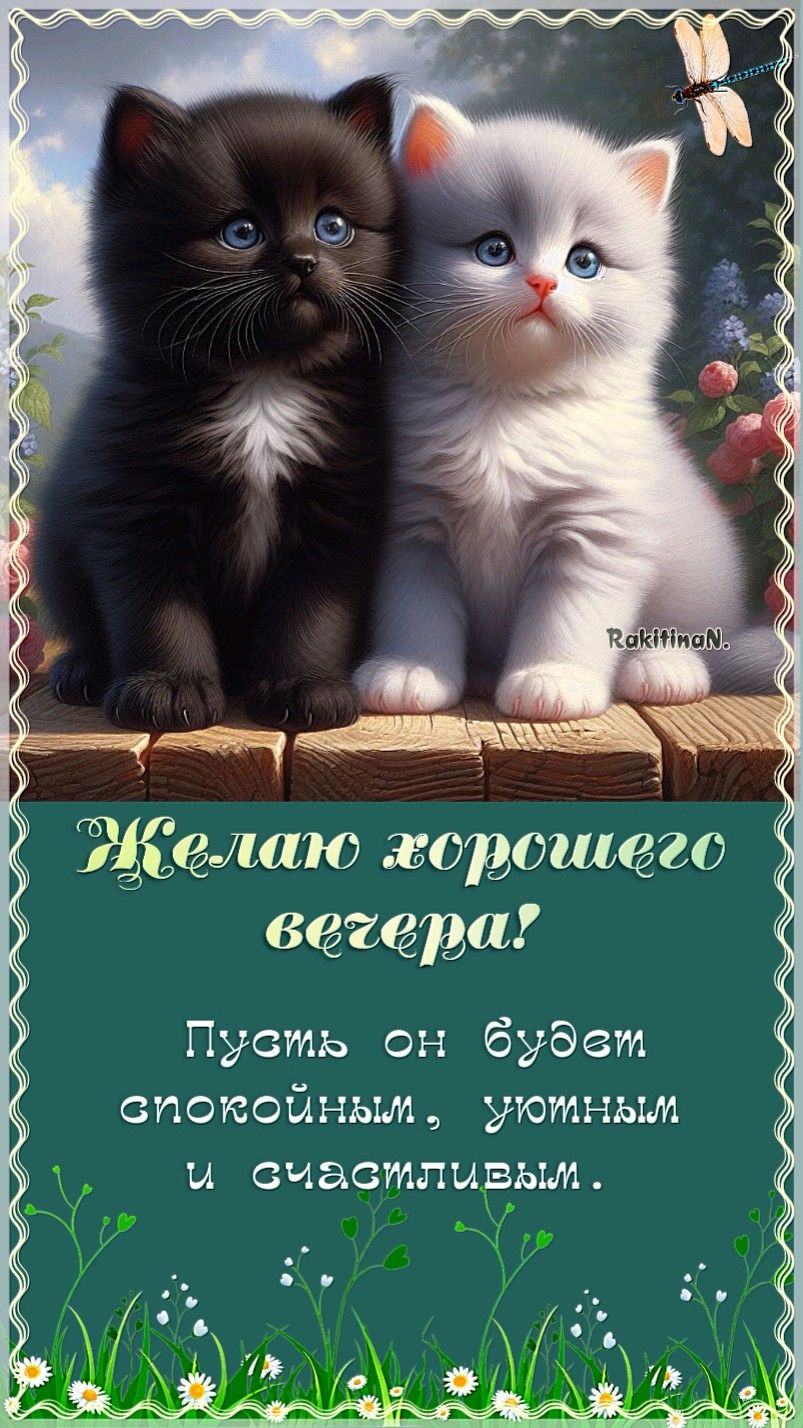 Добрый вечер!