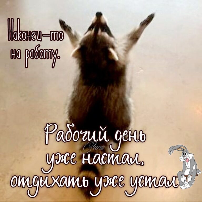Наконец-то на работу 😁