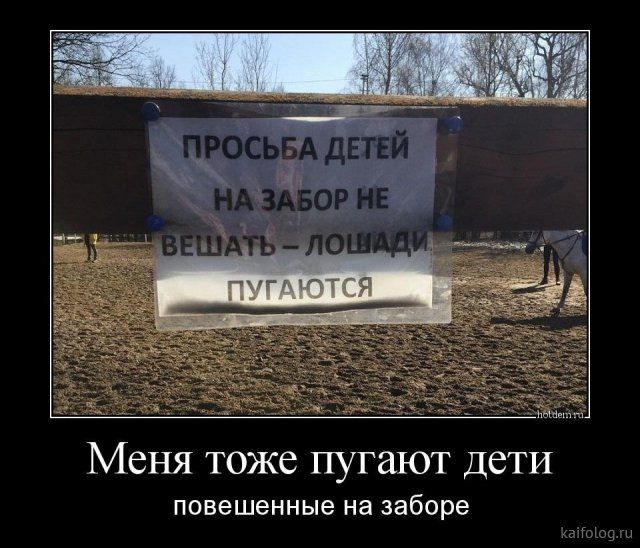 Смешные демотиваторы (55 картинок)
